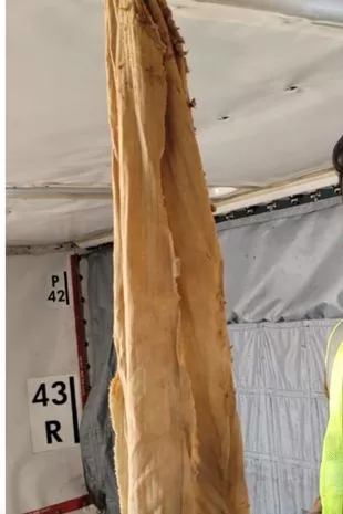 印度航空9个厕所在半空中堵塞,飞机被迫返航5小时